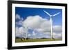 Wind Power Plant Wind Turbines of Windy Hill-null-Framed Photographic Print