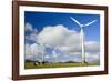 Wind Power Plant Wind Turbines of Windy Hill-null-Framed Photographic Print