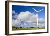 Wind Power Plant Wind Turbines of Windy Hill-null-Framed Photographic Print