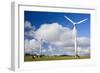 Wind Power Plant Wind Turbines of Windy Hill-null-Framed Photographic Print