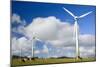 Wind Power Plant Wind Turbines of Windy Hill-null-Mounted Photographic Print