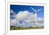 Wind Power Plant Wind Turbines of Windy Hill-null-Framed Photographic Print