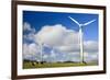 Wind Power Plant Wind Turbines of Windy Hill-null-Framed Photographic Print