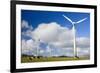 Wind Power Plant Wind Turbines of Windy Hill-null-Framed Photographic Print