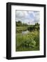 Wind Pump, Charlock (Sinapis Arvensis) Flowering in the Foreground, Wicken Fen, Cambridgeshire, UK-Terry Whittaker-Framed Photographic Print