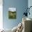 Wind Pump, Charlock (Sinapis Arvensis) Flowering in the Foreground, Wicken Fen, Cambridgeshire, UK-Terry Whittaker-Photographic Print displayed on a wall