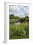 Wind Pump, Charlock (Sinapis Arvensis) Flowering in the Foreground, Wicken Fen, Cambridgeshire, UK-Terry Whittaker-Framed Photographic Print