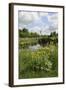 Wind Pump, Charlock (Sinapis Arvensis) Flowering in the Foreground, Wicken Fen, Cambridgeshire, UK-Terry Whittaker-Framed Photographic Print