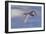 Wind Rider-Bruce Dumas-Framed Giclee Print