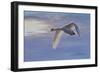 Wind Rider-Bruce Dumas-Framed Giclee Print