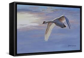 Wind Rider-Bruce Dumas-Framed Stretched Canvas