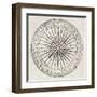 Wind Rose Old Illustration-marzolino-Framed Art Print