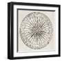 Wind Rose Old Illustration-marzolino-Framed Art Print