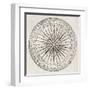 Wind Rose Old Illustration-marzolino-Framed Art Print