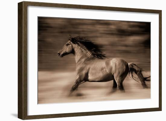 Wind Runner-Lisa Dearing-Framed Photographic Print