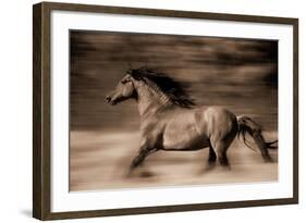 Wind Runner-Lisa Dearing-Framed Photographic Print