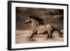 Wind Runner-Lisa Dearing-Framed Photographic Print