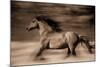 Wind Runner-Lisa Dearing-Mounted Photographic Print