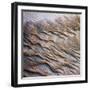 Wind Sand and Water I-Alan Hausenflock-Framed Photographic Print