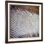 Wind Sand and Water II-Alan Hausenflock-Framed Photographic Print