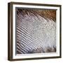Wind Sand and Water II-Alan Hausenflock-Framed Photographic Print