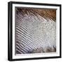 Wind Sand and Water II-Alan Hausenflock-Framed Photographic Print