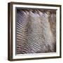 Wind Sand and Water III-Alan Hausenflock-Framed Photographic Print