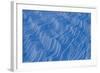 Wind Scours Snow Etching Patterns, Glacier County, Glacier National Park, Montana-Steven Gnam-Framed Photographic Print