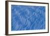 Wind Scours Snow Etching Patterns, Glacier County, Glacier National Park, Montana-Steven Gnam-Framed Photographic Print