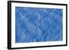 Wind Scours Snow Etching Patterns, Glacier County, Glacier National Park, Montana-Steven Gnam-Framed Photographic Print