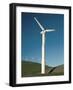 Wind Turbine Generators, Altamonti Pass, Califorrnia, USA-null-Framed Photographic Print