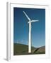 Wind Turbine Generators, Altamonti Pass, Califorrnia, USA-null-Framed Photographic Print