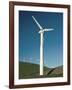 Wind Turbine Generators, Altamonti Pass, Califorrnia, USA-null-Framed Photographic Print