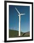 Wind Turbine Generators, Altamonti Pass, Califorrnia, USA-null-Framed Photographic Print