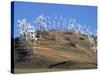 Wind Turbine Generators, Tehachapi, CA-Mark Gibson-Stretched Canvas