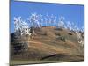 Wind Turbine Generators, Tehachapi, CA-Mark Gibson-Mounted Photographic Print