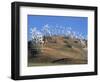 Wind Turbine Generators, Tehachapi, CA-Mark Gibson-Framed Photographic Print