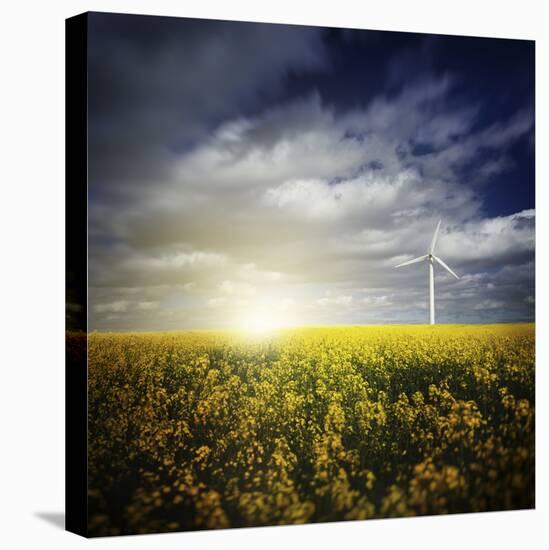 Wind Turbine in a Canola Field Against Cloudy Sky at Sunset, Denmark-null-Stretched Canvas