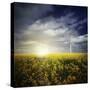 Wind Turbine in a Canola Field Against Cloudy Sky at Sunset, Denmark-null-Stretched Canvas