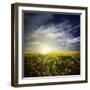Wind Turbine in a Canola Field Against Cloudy Sky at Sunset, Denmark-null-Framed Photographic Print