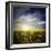 Wind Turbine in a Canola Field Against Cloudy Sky at Sunset, Denmark-null-Framed Photographic Print