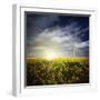 Wind Turbine in a Canola Field Against Cloudy Sky at Sunset, Denmark-null-Framed Photographic Print