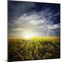 Wind Turbine in a Canola Field Against Cloudy Sky at Sunset, Denmark-null-Mounted Photographic Print