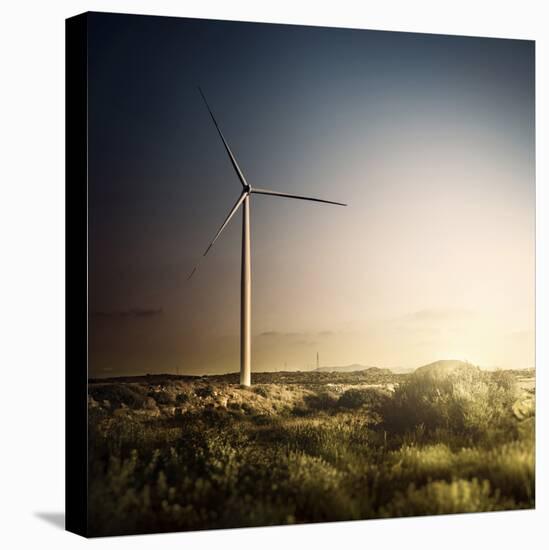 Wind Turbine in a Field in the Evening, Sardinia, Italy-null-Stretched Canvas