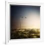 Wind Turbine in a Field in the Evening, Sardinia, Italy-null-Framed Photographic Print