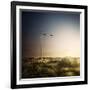 Wind Turbine in a Field in the Evening, Sardinia, Italy-null-Framed Photographic Print