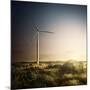 Wind Turbine in a Field in the Evening, Sardinia, Italy-null-Mounted Photographic Print