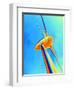 Wind Turbine-PASIEKA-Framed Premium Photographic Print