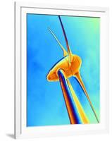 Wind Turbine-PASIEKA-Framed Photographic Print