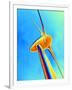 Wind Turbine-PASIEKA-Framed Photographic Print